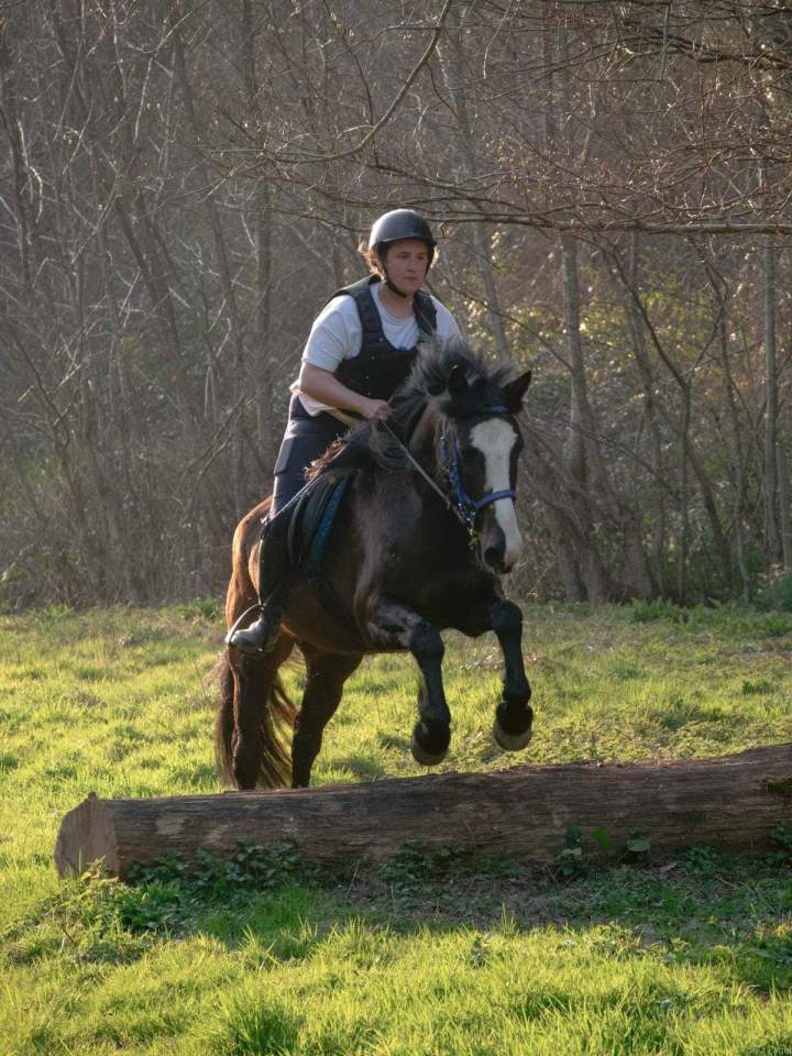 Centre équestre Calvados