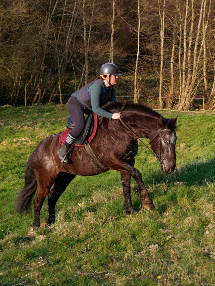 Centre équestre Calvados