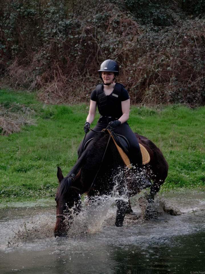 Centre équestre Calvados