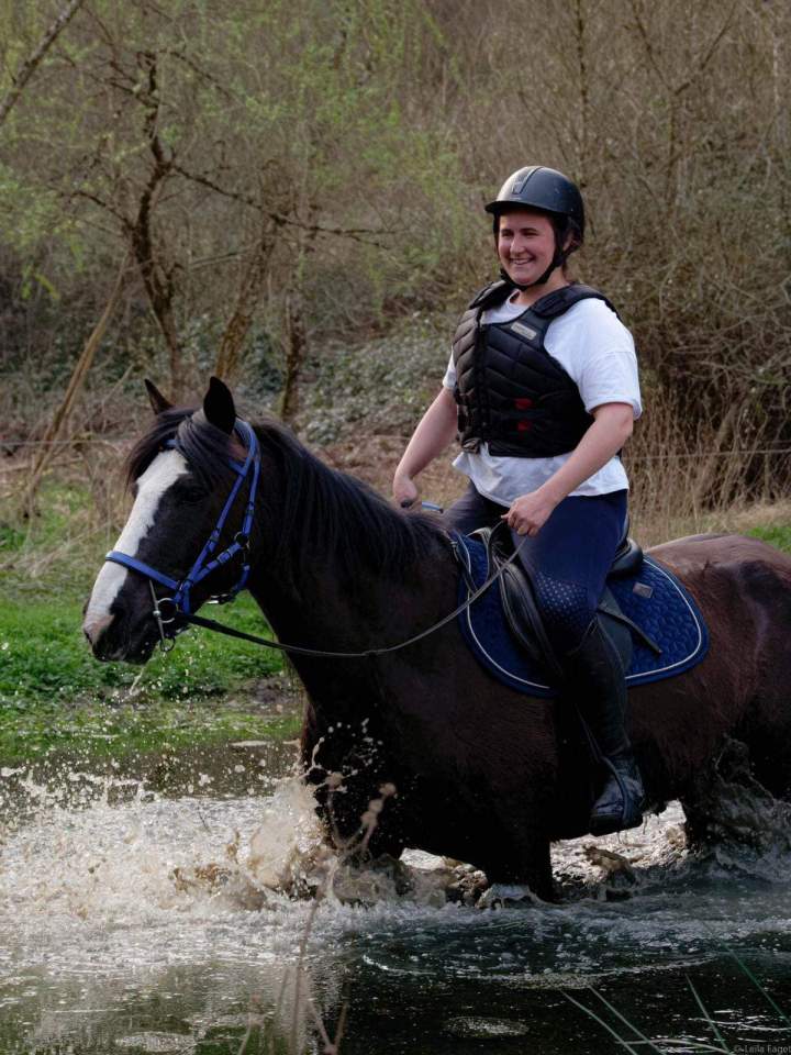 Cours d'équitation Calvados