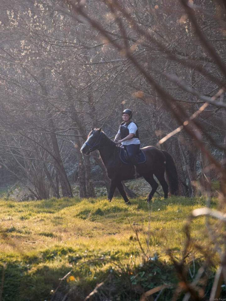 Cours d'équitation Calvados