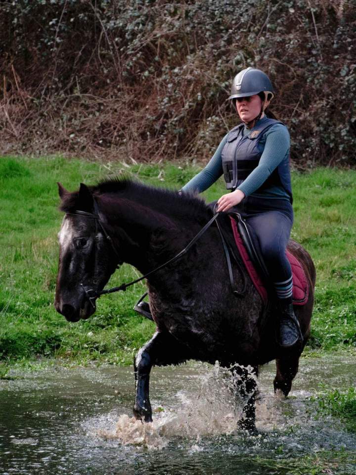 Cours d'équitation Calvados