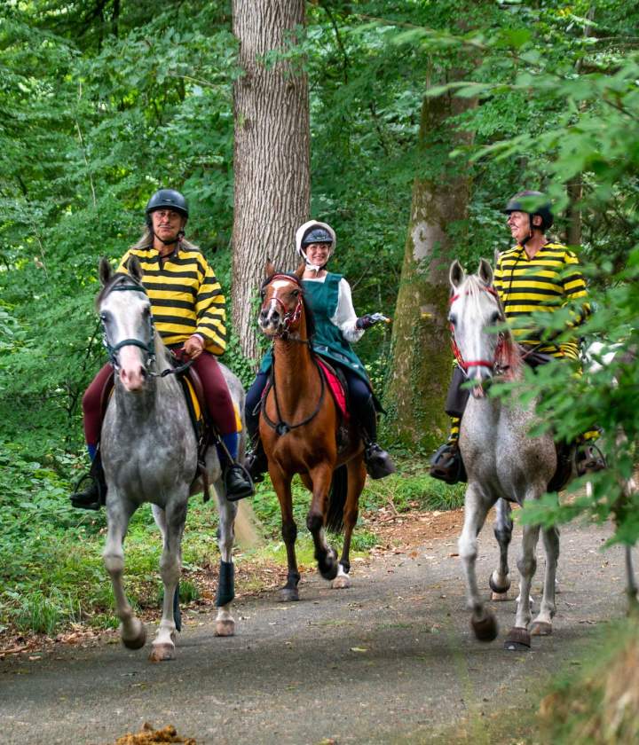 Balade à cheval Calvados