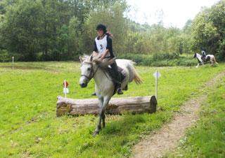 Box pour chevaux Calvados