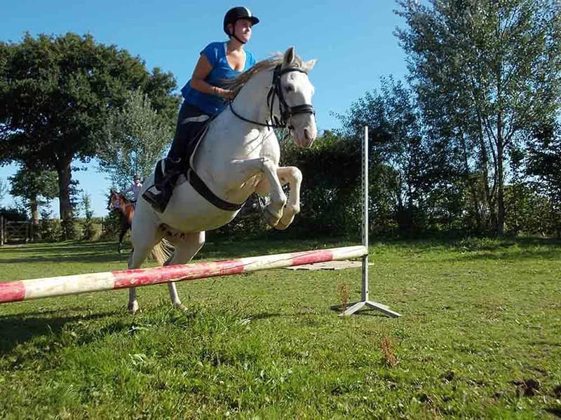 Cours d’équitation Caen