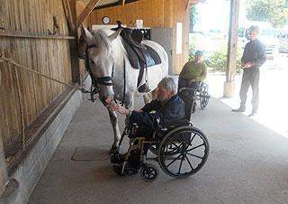 Pension chevaux Normandie