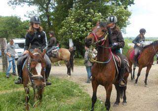 Hébergement cheval Calvados