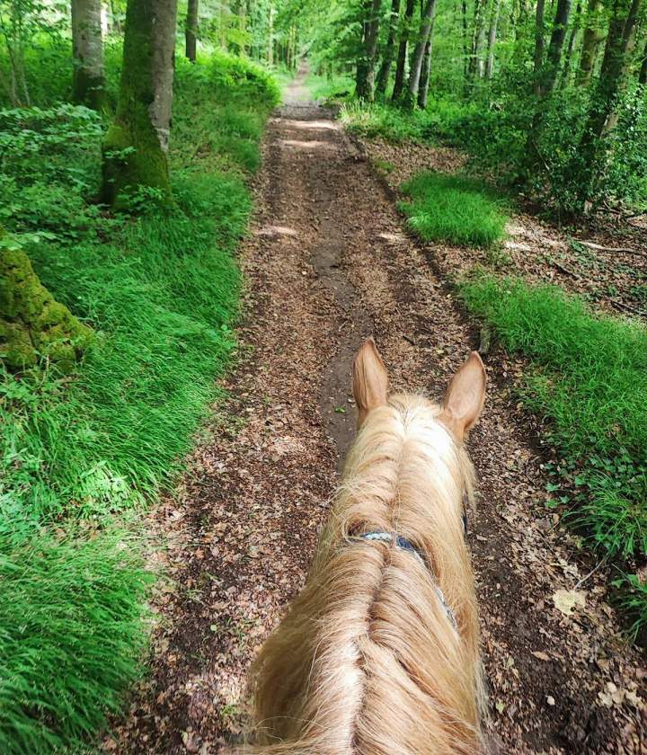 Excursion équestre Calvados