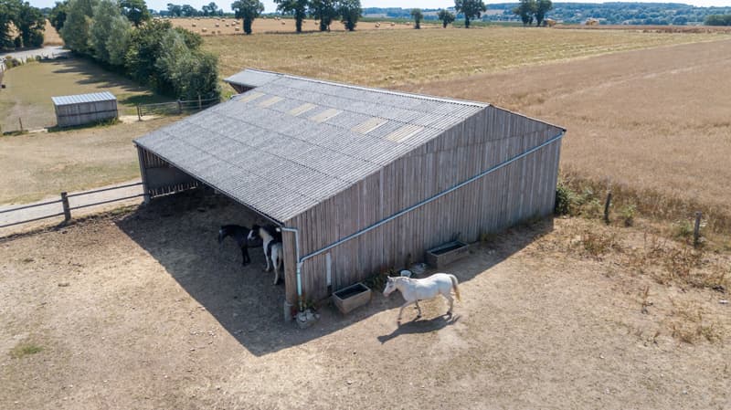 Cours d’équitation Calvados