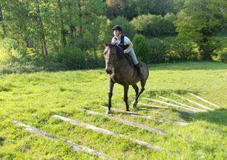 Hébergement cheval Calvados