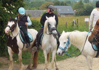 Box pour chevaux Calvados