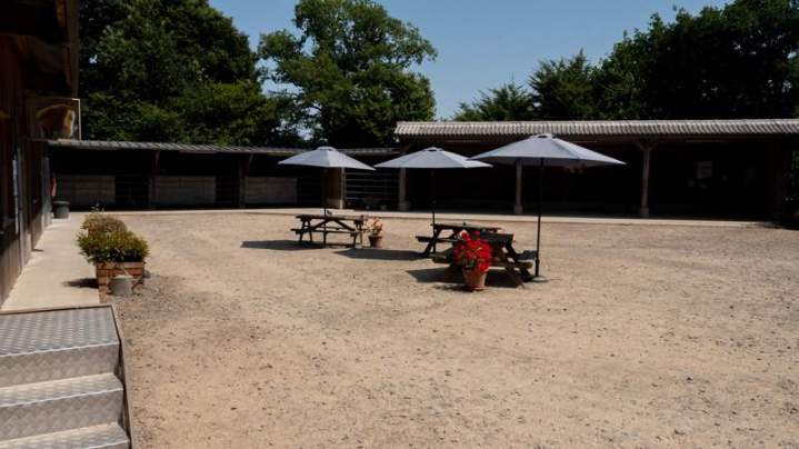 Balade équestre en Normandie