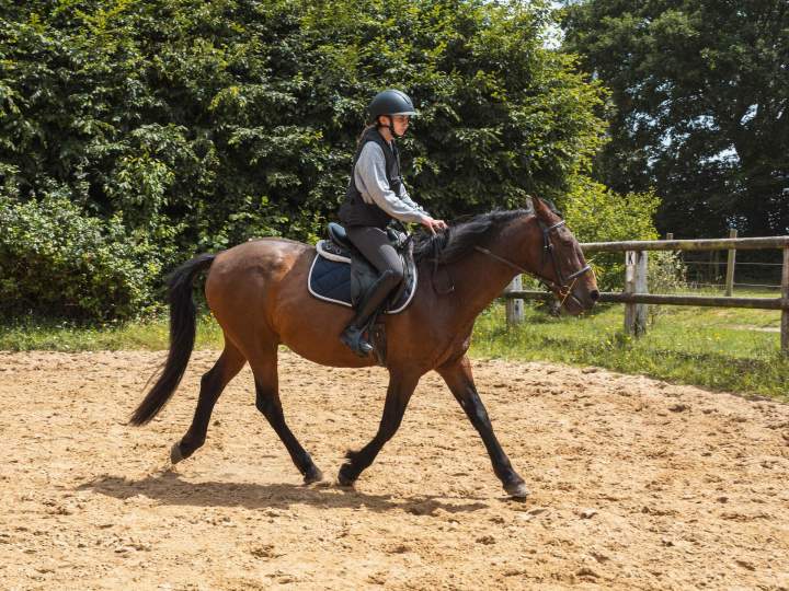 Leçons d’équitation Calvados