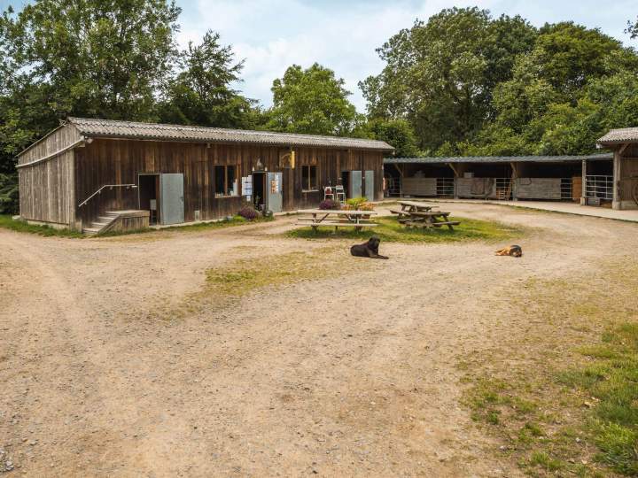 Pensionnat pour chevaux Calvados
