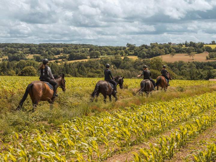Balade à cheval au cœur de la nature