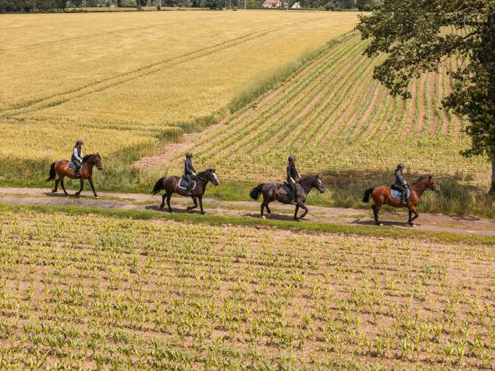 Balade à cheval Calvados