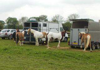 Location accessoires cheval Calvados