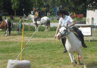 Location tapis et selles Calvados