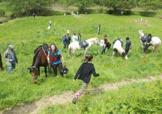 Louer équipement pour cheval Calvados