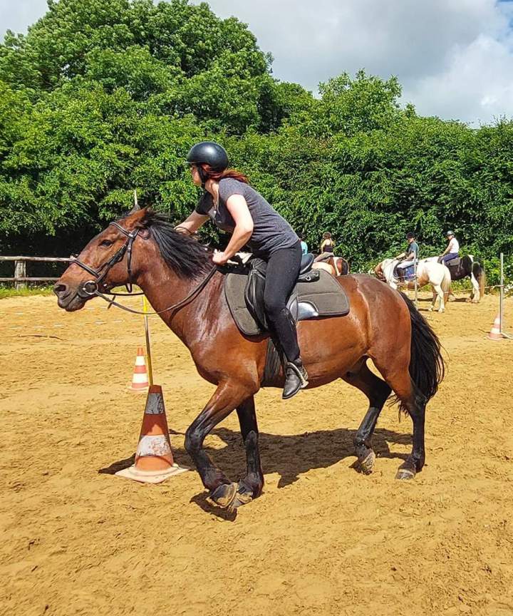 Des leçons adaptés pour tous les niveaux