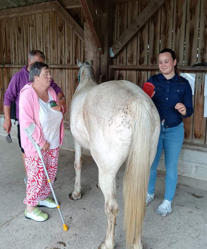 Une équitation inclusive et bienveillante