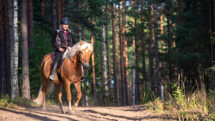 Centre équestre Calvados