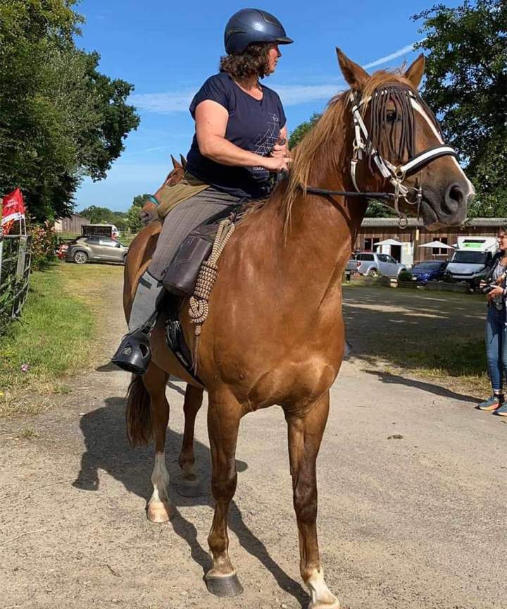 Pratique de l'équitation dans une ambiance conviviale et familiale
