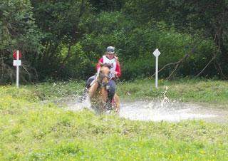 Pension chevaux Normandie
