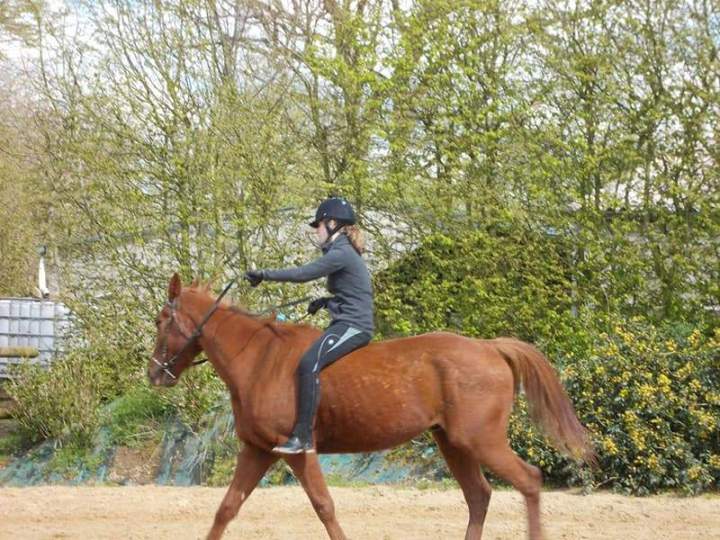 Centre de randonnée équestre Calvados
