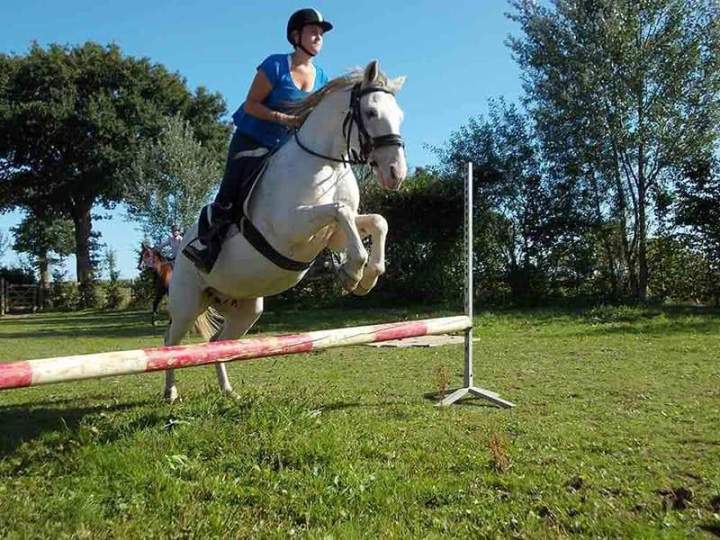 Leçons d’équitation Calvados