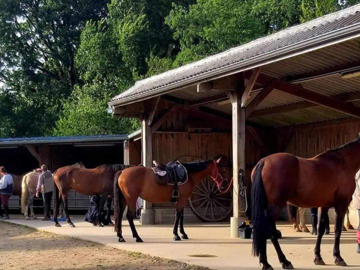 Pension chevaux Calvados